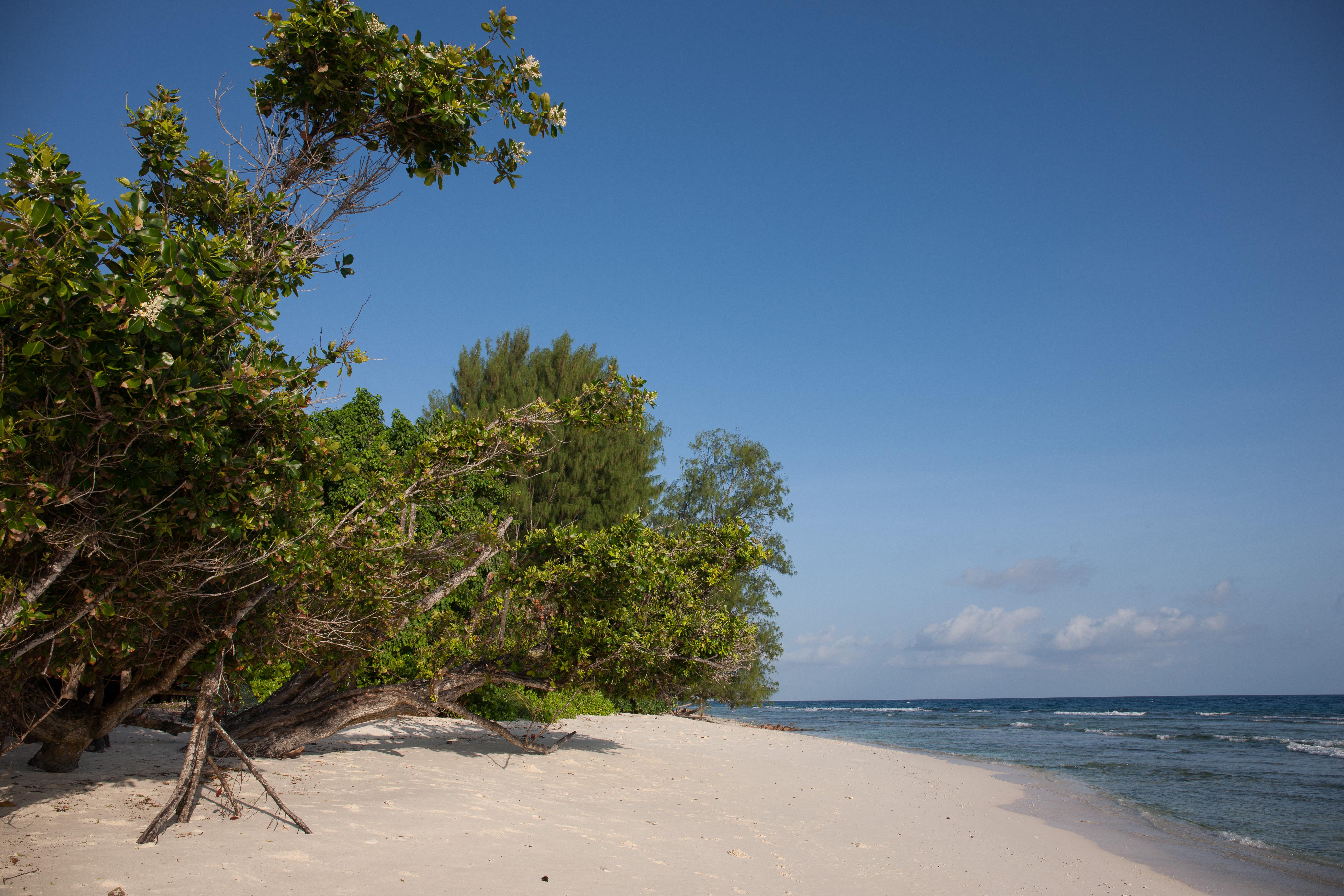 Le Relax Luxury Lodge (Adults Only) La Digue Eksteriør bilde