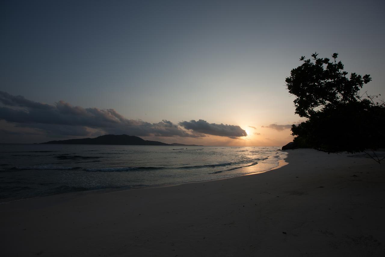 Le Relax Luxury Lodge (Adults Only) La Digue Eksteriør bilde