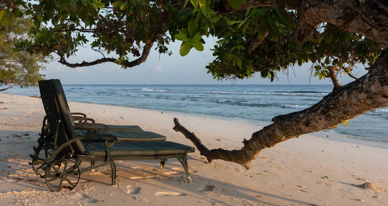 Le Relax Luxury Lodge (Adults Only) La Digue Eksteriør bilde